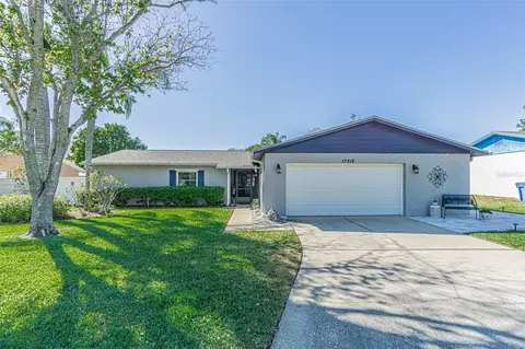 15816 Crying Wind Dr, Tampa, FL 33624