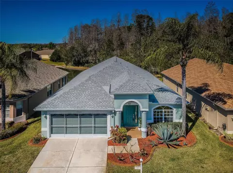 12039 Yellow Finch Ln, Trinity, FL 34655