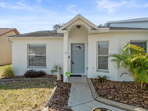 2978 Cara Ct, Palm Harbor, FL 34684
