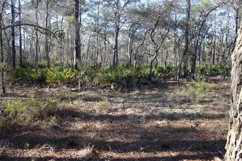 00 Snowbird Ave, Weeki Wachee, FL 34614