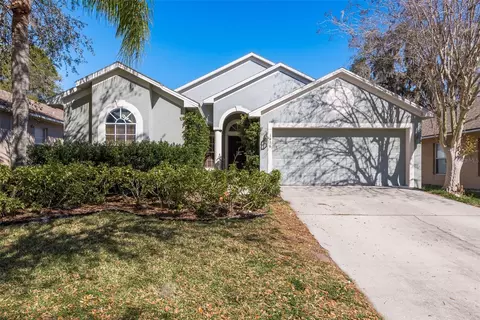 1416 Saddle Gold Ct, Brandon, FL 33511
