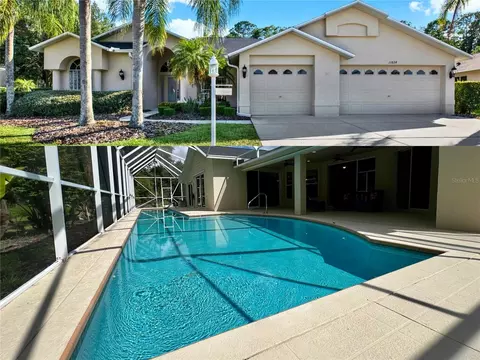 11824 Hadleigh Way, Trinity, FL 34655