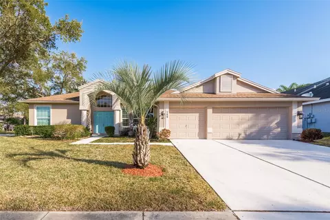 784 House Wren Cir, Palm Harbor, FL 34683