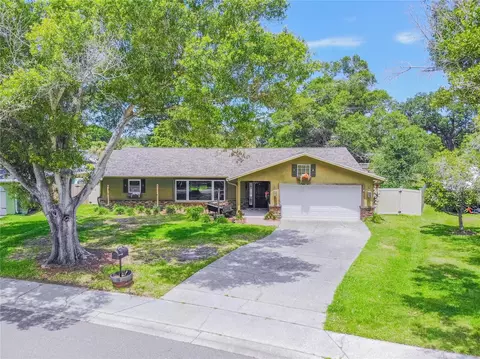 2128 Flamingo Pl, Safety Harbor, FL 34695