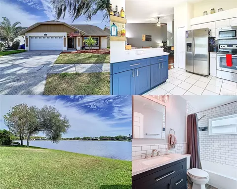 8625 Boysenberry Dr, Tampa, FL 33635