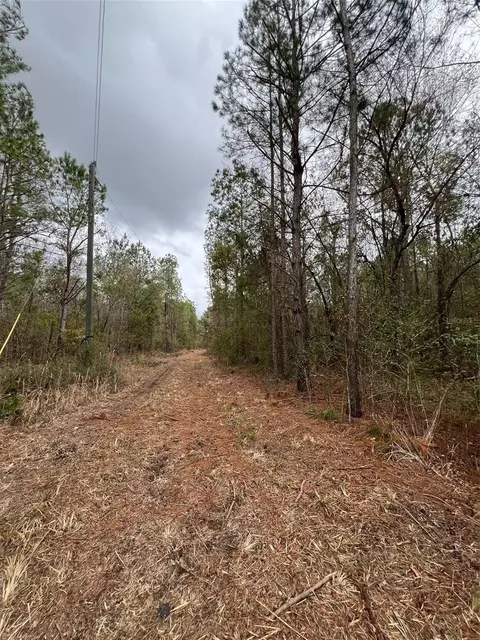 7136 Wiggins Rd, Live Oak, FL 32060