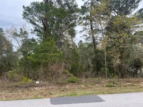 34 Lone Pine St, Homosassa, FL 34446
