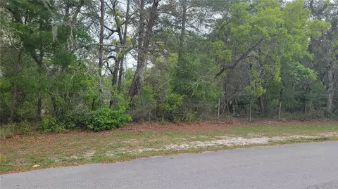 Rabbit Drive, New Port Richey, FL 34654