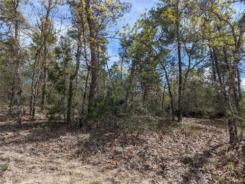 4 Lone Pine St, Homosassa, FL 34446