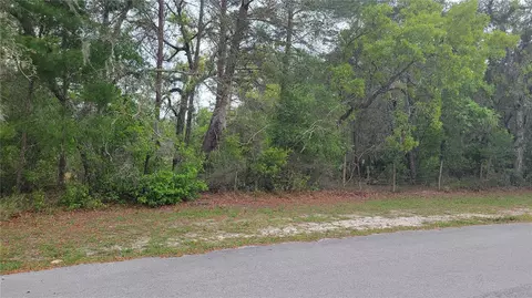 1760 Rabbit Dr, New Port Richey, FL 34655