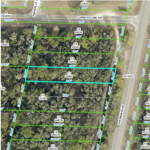 Treiman Boulevard, Ridge Manor Estates, FL 33597