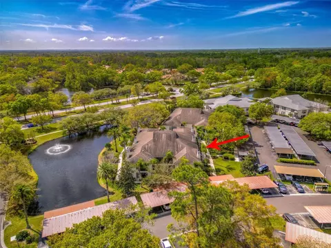 3350 Mermoor Dr #1202, Palm Harbor, FL 34685