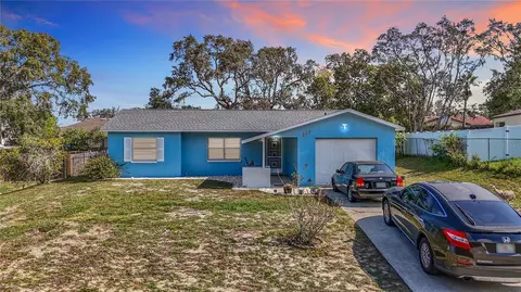 202 Dan River Dr, Spring Hill, FL 34606