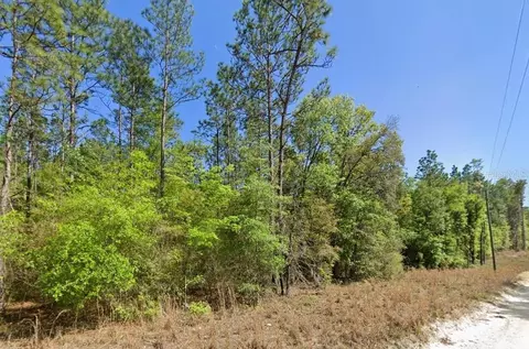 NW 16th Avenue, Bell, FL 32619