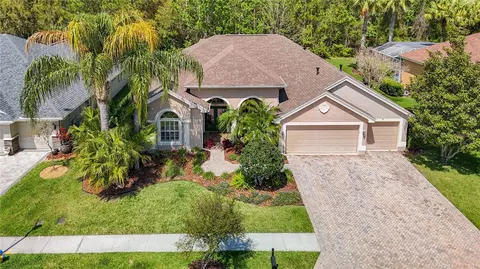 27433 Water Ash Dr, Wesley Chapel, FL 33544