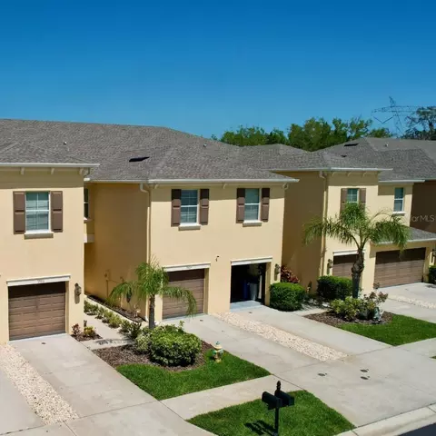 9593 Trumpet Vine Loop, Trinity, FL 34655