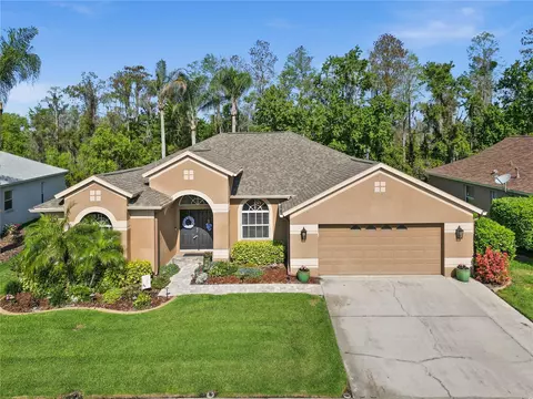 1603 Stipule Ct, Trinity, FL 34655