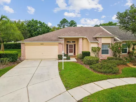 11420 Hidden Cove Ct, Trinity, FL 34655