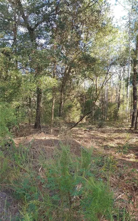 SW 19th Place, Ocala, FL 34481