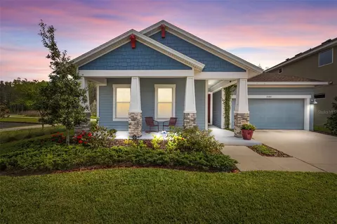 15241 Renaissance Ave, Odessa, FL 33556