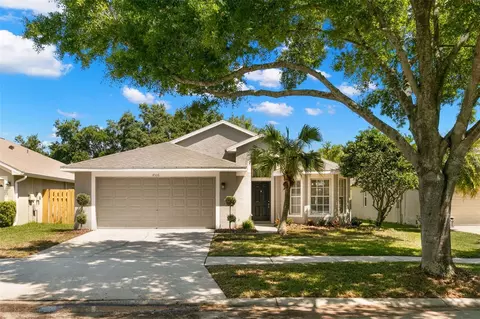 4506 New Dawn Ct, Lutz, FL 33558