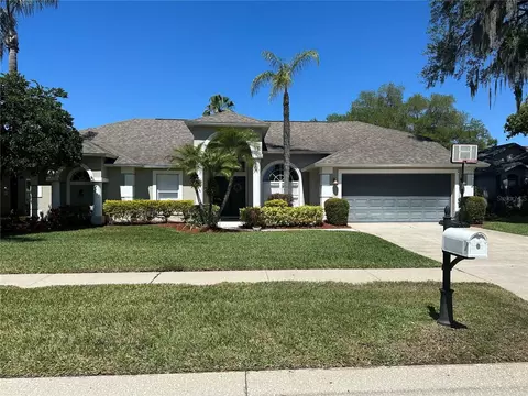 3607 Treeline Dr, Valrico, FL 33596