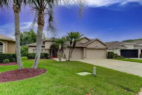 12604 Stanwyck Cir, Tampa, FL 33626