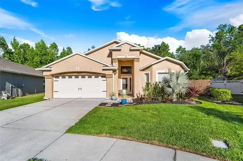 4624 Barchetta Dr, Land O Lakes, FL 34639