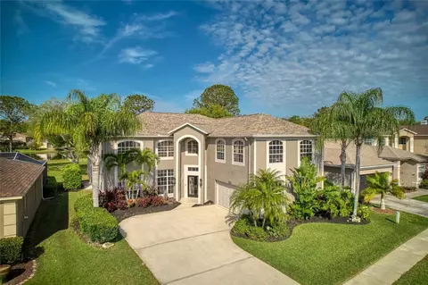 15608 Shoal Creek Pl, Odessa, FL 33556