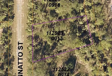 Langlais Drive, North Port, FL 34288