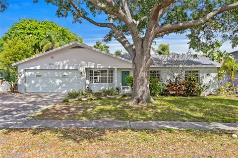 4703 Travertine Dr, Tampa, FL 33615