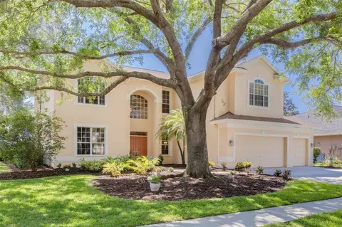 5295 Kernwood Ct, Palm Harbor, FL 34685