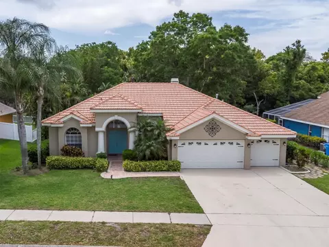 748 Sunflower Dr, Palm Harbor, FL 34683
