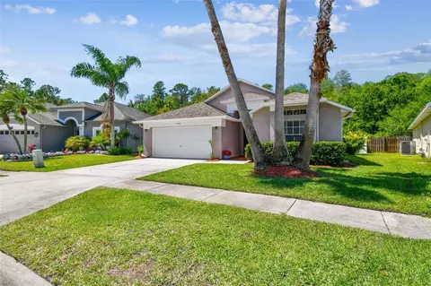 14532 Weeping Elm Dr, Tampa, FL 33626