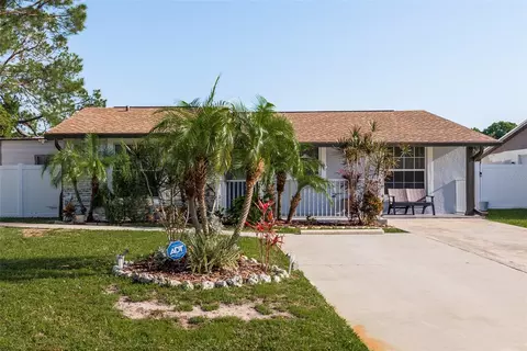 7911 Woodgrove Cir, Tampa, FL 33615
