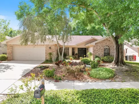 1019 Woodcrest Ave, Safety Harbor, FL 34695