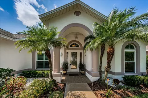 2411 Wheeler Groves Dr, Seffner, FL 33584