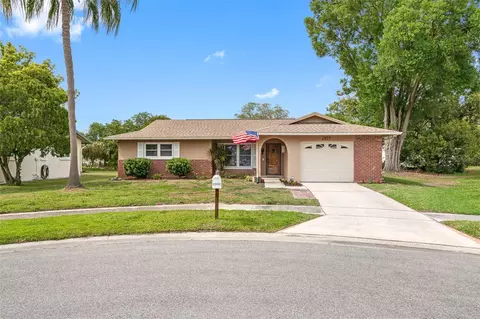 2959 Briar Cliff Dr, Palm Harbor, FL 34684