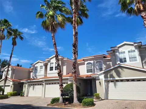 1264 Ribolla Dr, Palm Harbor, FL 34683