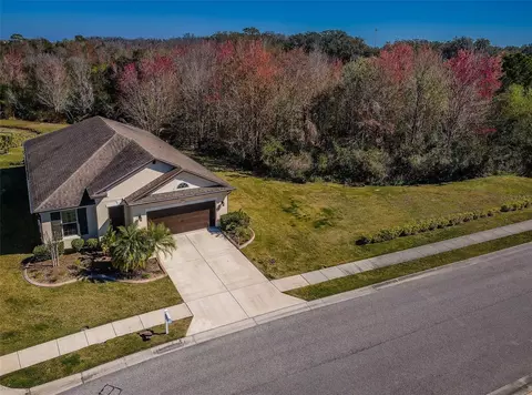 4861 Rolling Greene Dr, Wesley Chapel, FL 33543