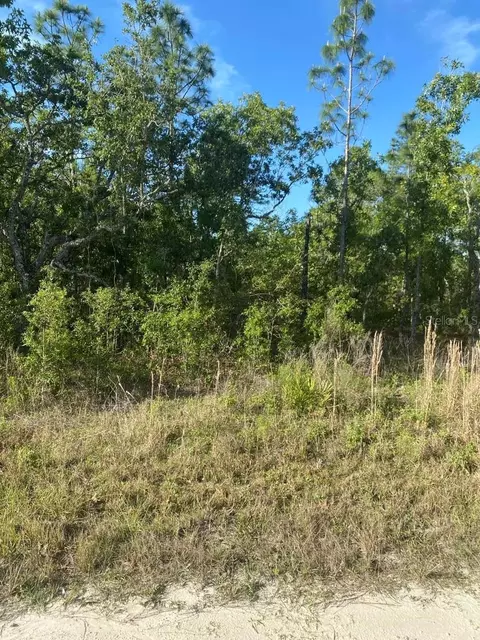12242 Snowy Egret Ave, Weeki Wachee, FL 34614