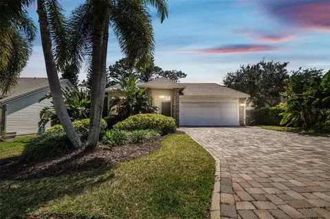 2142 Trevor Rd, Palm Harbor, FL 34683