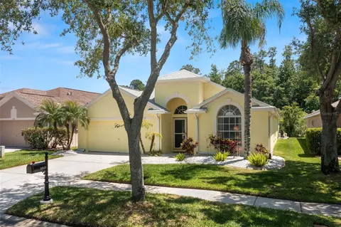 12113 Bishopsford Dr, Tampa, FL 33626