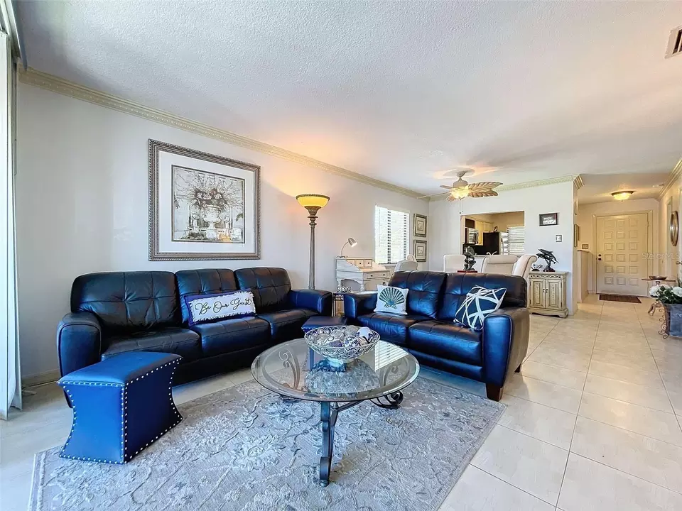 Living - 1801 Mariner Dr #20, Tarpon Springs, FL 34689 photo 2 of 8