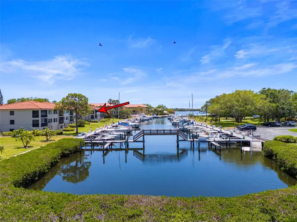 View/Area - 1801 Mariner Dr #20, Tarpon Springs, FL 34689 photo 14 of 17