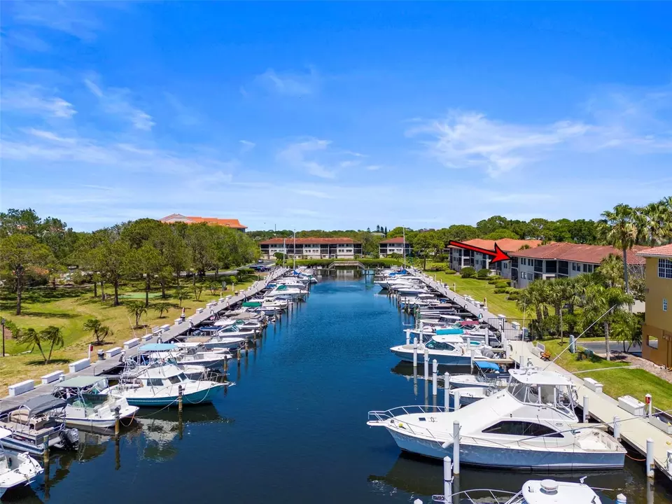 View/Area - 1801 Mariner Dr #20, Tarpon Springs, FL 34689 photo 5 of 17