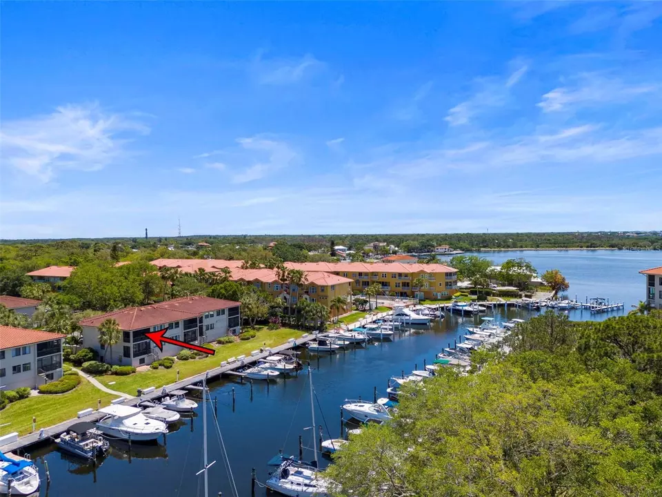 View/Area - 1801 Mariner Dr #20, Tarpon Springs, FL 34689 photo 15 of 17