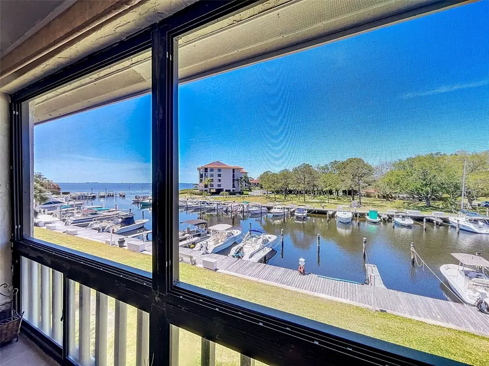 View/Area - 1801 Mariner Dr #20, Tarpon Springs, FL 34689 photo 4 of 17