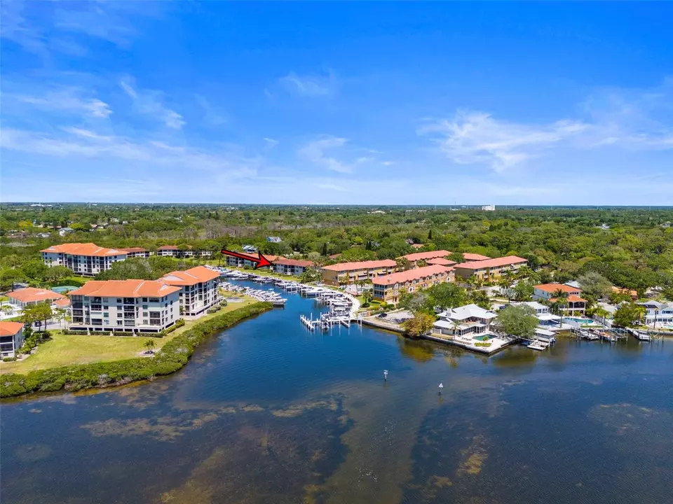 View/Area - 1801 Mariner Dr #20, Tarpon Springs, FL 34689 photo 16 of 17