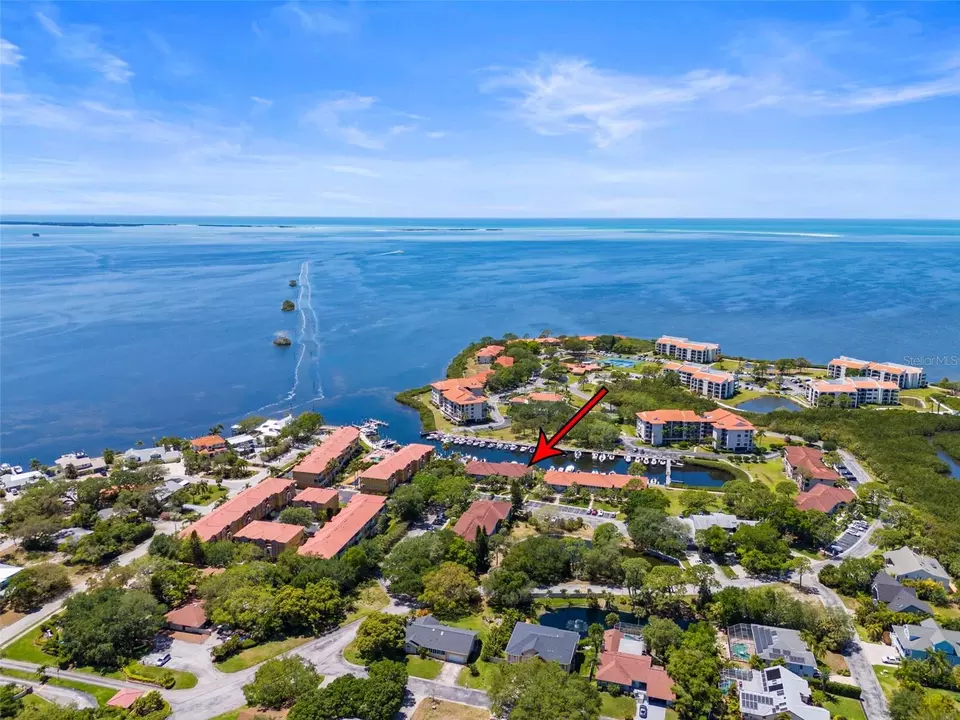 View/Area - 1801 Mariner Dr #20, Tarpon Springs, FL 34689 photo 12 of 17